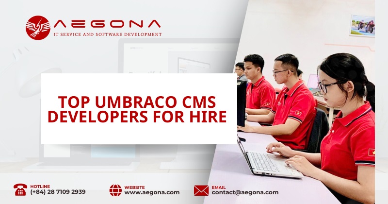 hire-umbraco-cms-developer