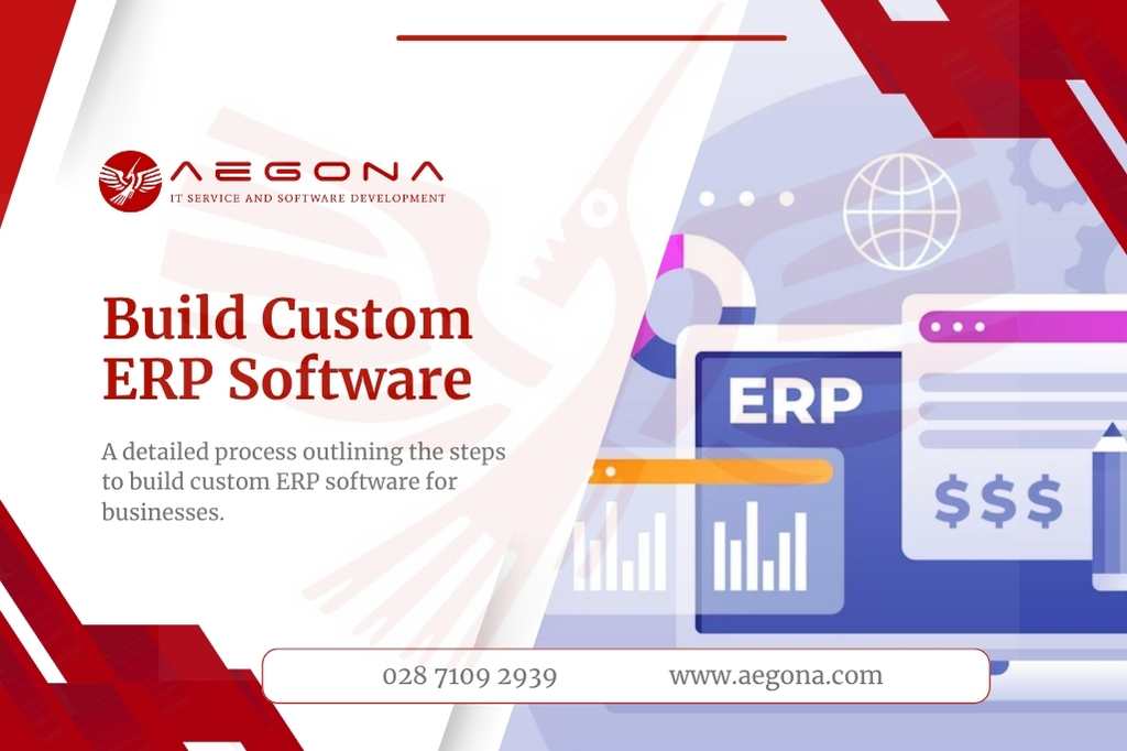 Build custom ERP Software